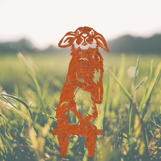 Pluis het Knuffelkonijn